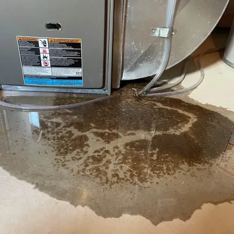 Appliance Leak Cleanup in Albemarle County, VA